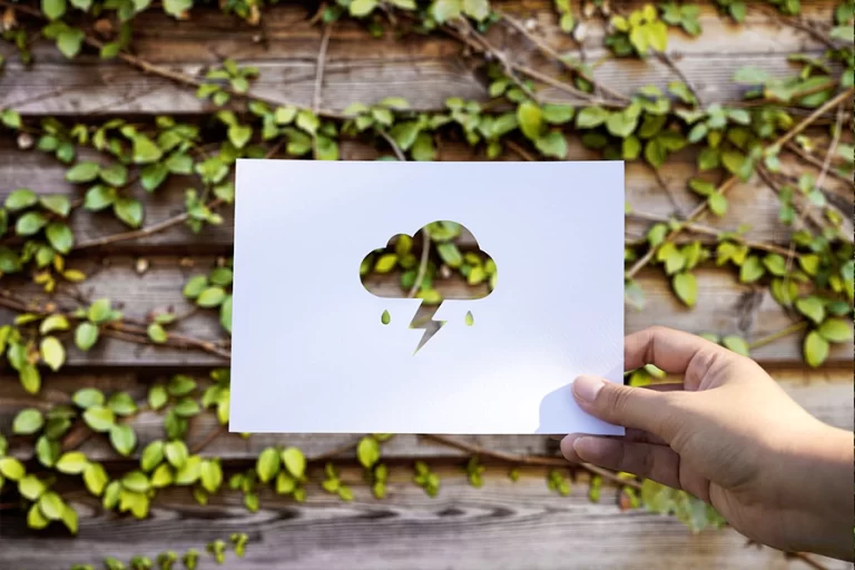 eco2